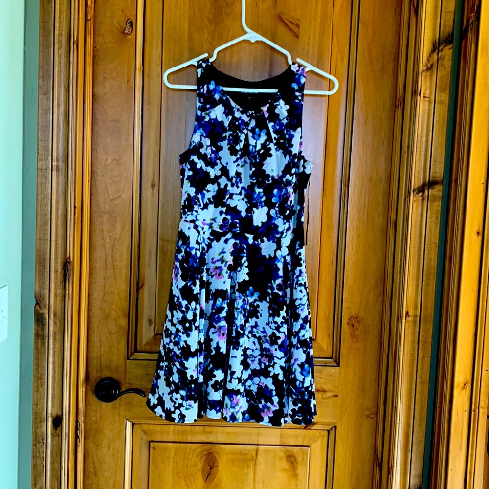 Beautiful Express spring dress Size 6